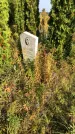 Захоронение ID 1303059