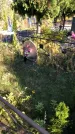 Захоронение ID 1303066
