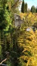 Захоронение ID 1303069