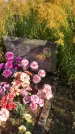 Захоронение ID 1303073