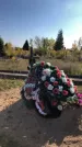 Захоронение ID 1303088
