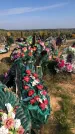 Захоронение ID 1303089