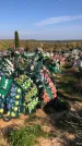 Захоронение ID 1303097