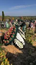 Захоронение ID 1303098