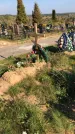 Захоронение ID 1303147