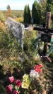 Захоронение ID 1303162