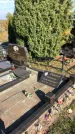 Захоронение ID 1303255