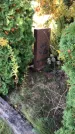 Захоронение ID 1303265