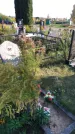 Захоронение ID 1303289