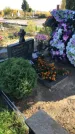 Захоронение ID 1303341