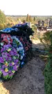 Захоронение ID 1303344