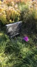 Захоронение ID 1303358