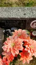 Захоронение ID 1304815