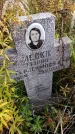 Захоронение ID 1304986