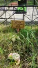 Захоронение ID 1304997