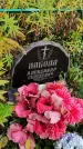 Захоронение ID 1305225