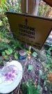 Захоронение ID 1305295