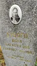 Захоронение ID 1305774
