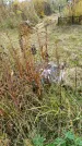 Захоронение ID 1305783