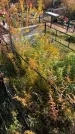 Захоронение ID 1306375