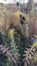 Захоронение ID 1306377