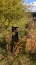 Захоронение ID 1306384
