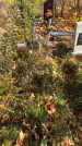Захоронение ID 1306406