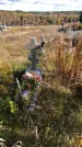 Захоронение ID 1306422