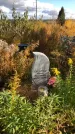 Захоронение ID 1306452