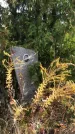 Захоронение ID 1306453