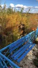 Захоронение ID 1306469