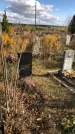 Захоронение ID 1306475