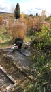 Захоронение ID 1306477