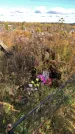 Захоронение ID 1306478