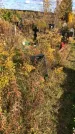 Захоронение ID 1306485