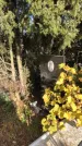 Захоронение ID 1306490