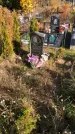 Захоронение ID 1306578