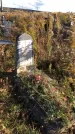 Захоронение ID 1306587