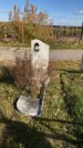 Захоронение ID 1306691