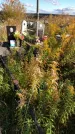 Захоронение ID 1306706