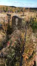 Захоронение ID 1306713