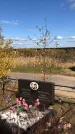 Захоронение ID 1306722