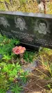 Захоронение ID 1306738