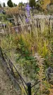 Захоронение ID 1306773