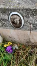 Захоронение ID 1306806