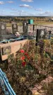 Захоронение ID 1306928