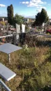 Захоронение ID 1306990