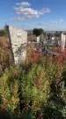 Захоронение ID 1307109