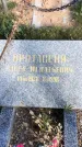 Захоронение ID 1307113
