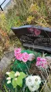 Захоронение ID 1307317
